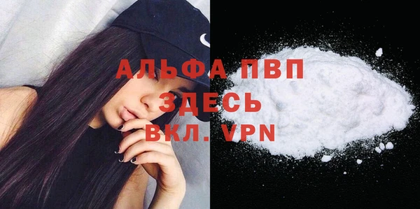 твердый Осташков