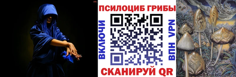 Псилоцибиновые грибы Cubensis  Кизилюрт 